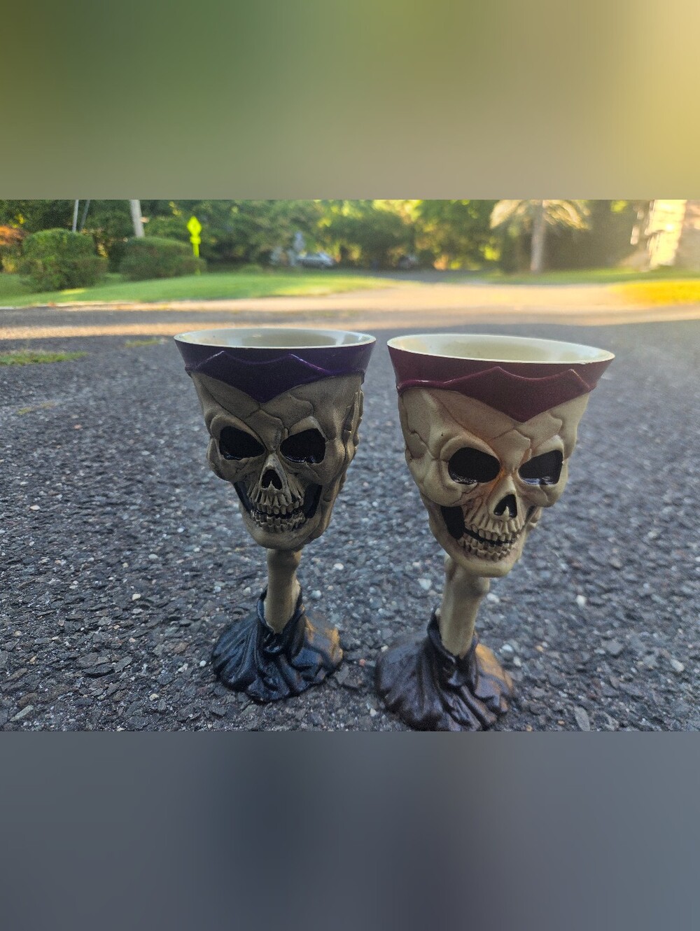 Vintage Skull Goblet Set – Pair of Beige & Purple Halloween Wine Cups